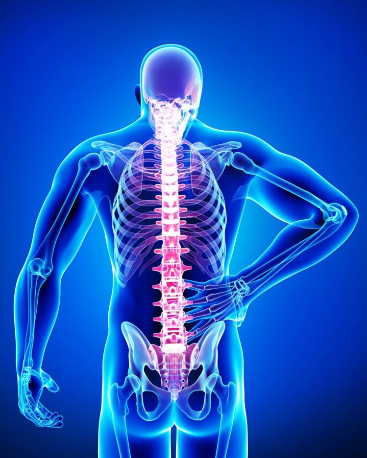 Qualified Professionals Can Treat your Spine Pain in Jacksonville
